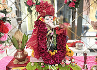 Nitsan Cha Raja 